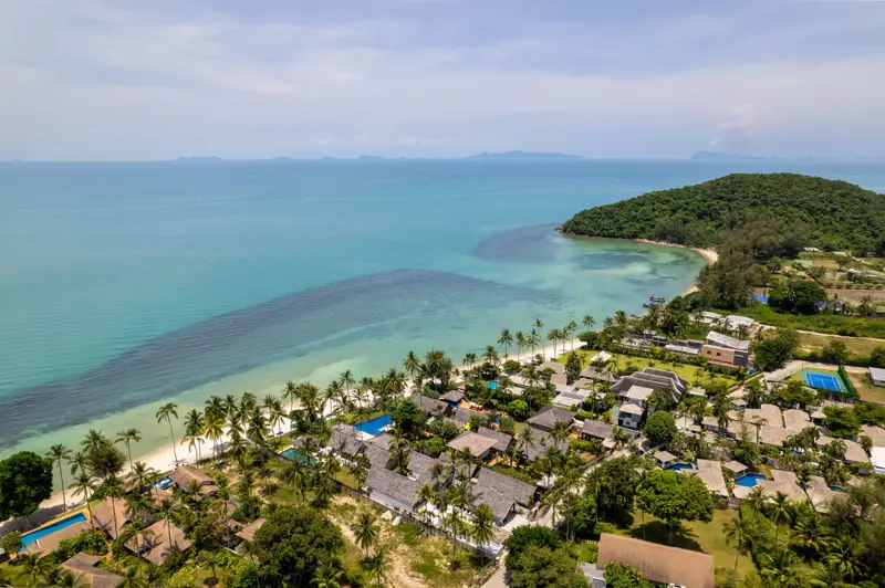 Aerial view of the estate and its neighbours along the palm-lined coast.