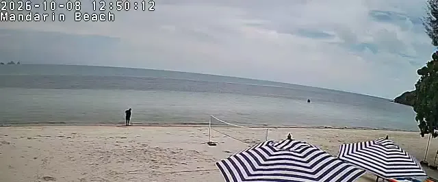 Frame from Mandarin Beach Villa's beachfront camera at Lipa Noi, sampled at 8 Oct 2026, 12:50 Thailand time